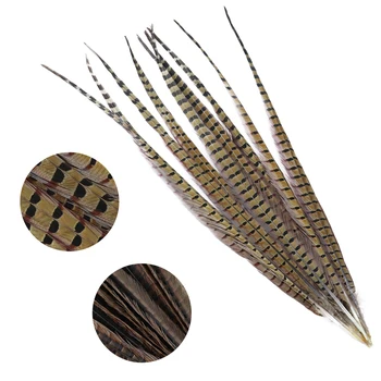 

10 Pcs/Lot Natural Ringneck Pheasant Cock Tail Feathers for Crafts 25-65 CM Wedding Home Decorations Accessory Feather Plumes