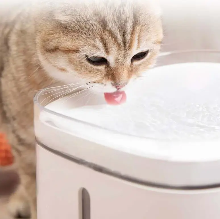 6PCS Original Refurbished 6T45E 6T40E 6T30E