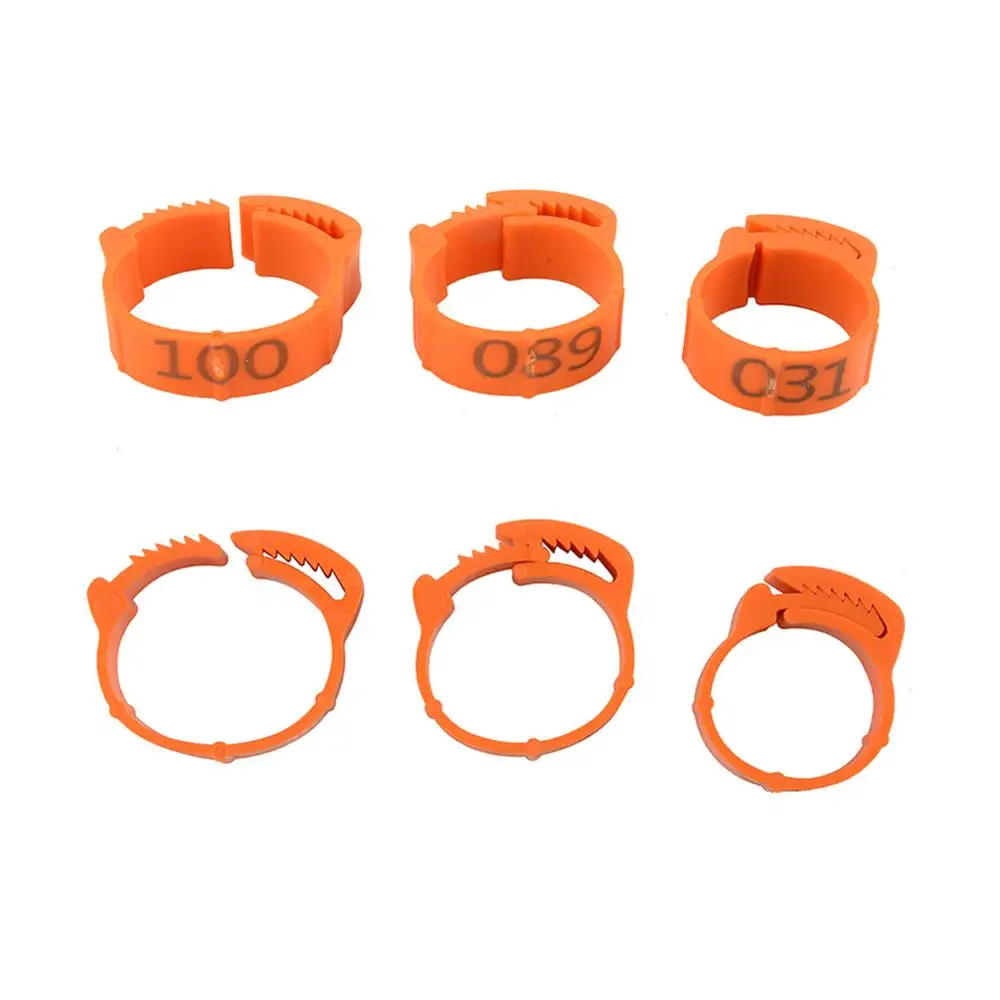 Chicken foot rings 100Pcs/Color adjustable inner diameter 2~2.4cm flexible retractable 8 colors
