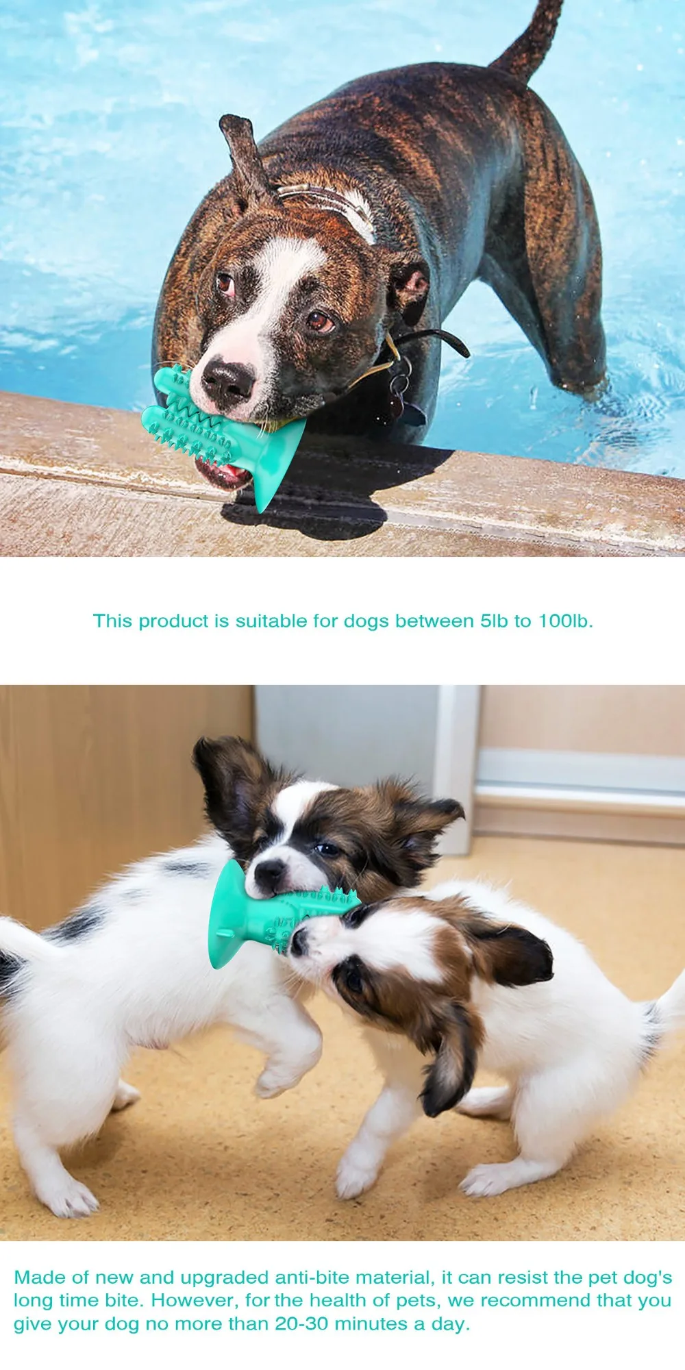 15544398490_1455645693