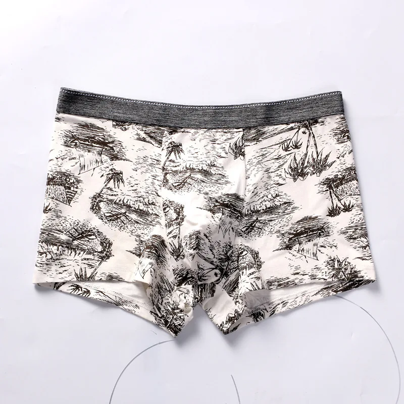 Style five DEWVKV хит, мужские трусы, сексуальное нижнее белье, удобные хлопковые трусы-боксеры, безудержные, дышащие, молниеносные предложения, пенис, Новинка - Цвет: Style five