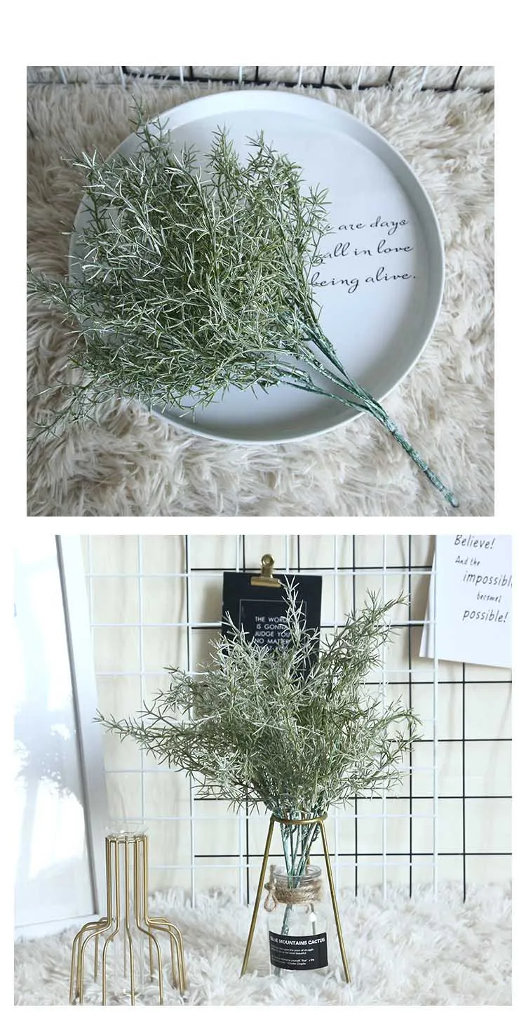 11154307746_1245478559