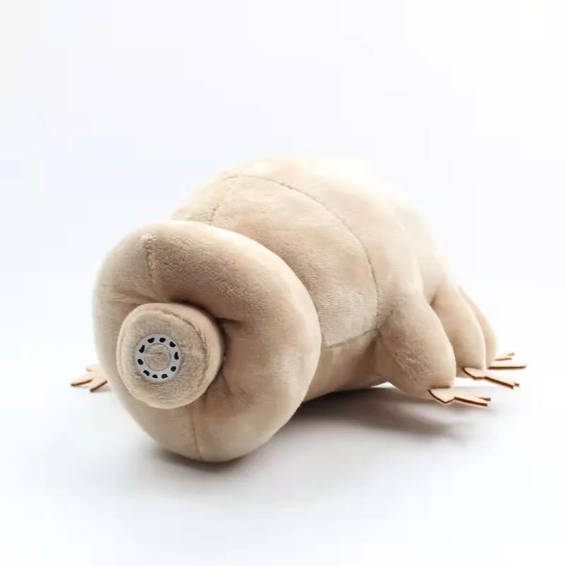 Ϳ   , ε巯 ,   ũ  , 25cm