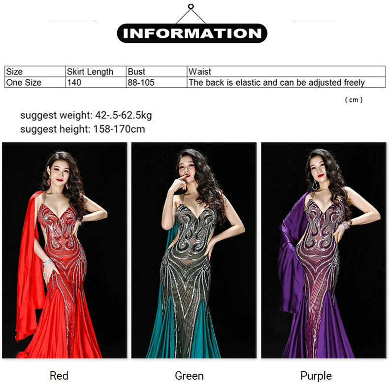 Womens Embroidery Belly Dance Costume Luxury Oriental Big Swing Skirt Women Professional Stage Performance Suit Dancer Dancewear