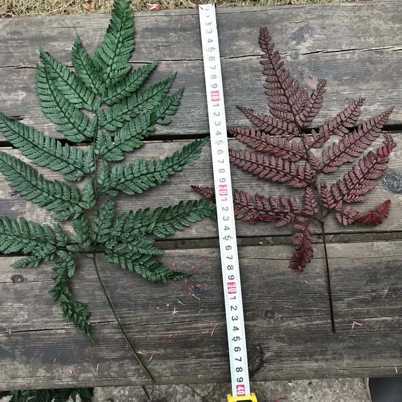 QQ图片20200210203255