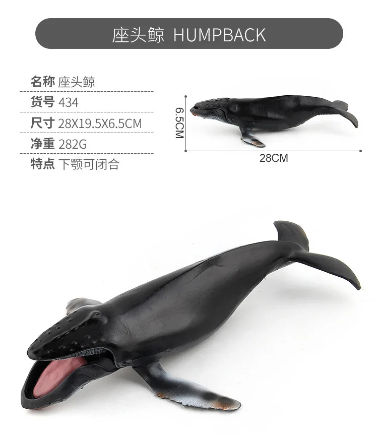 9888010000_1750629642