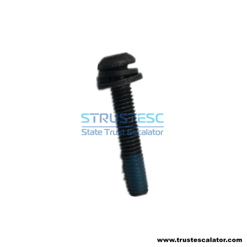Escalator Handrail Accessories Screw & Bolt 1 Pack = 100 Pieces for XIZIOTIS