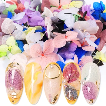 

3D Dried Flowers Nail Art Decorations Colorful Natural Flora Dry Flower for Decoration UV Gel Polish Nail Accessories