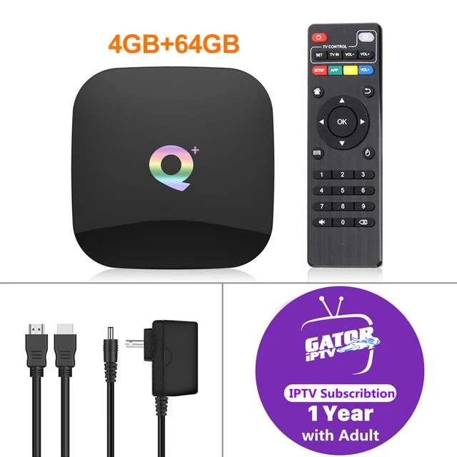 Q Plus Smart tv Box Android 9,0 телевидение IPTV коробка с 1 год ip tv подписка IP tv Франция арабский Португалия Испания Европа IP tv для M3U - Цвет: 4G64G(1 Year iptv)