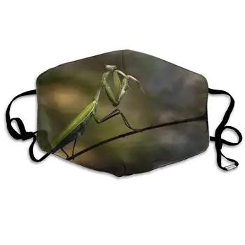 

Mouth Mask For Daily Dress Up, Mantis Anti-dust Mouth-Muffle, Washable Reusable Holiday Half Face Masks For Mens And Womens With