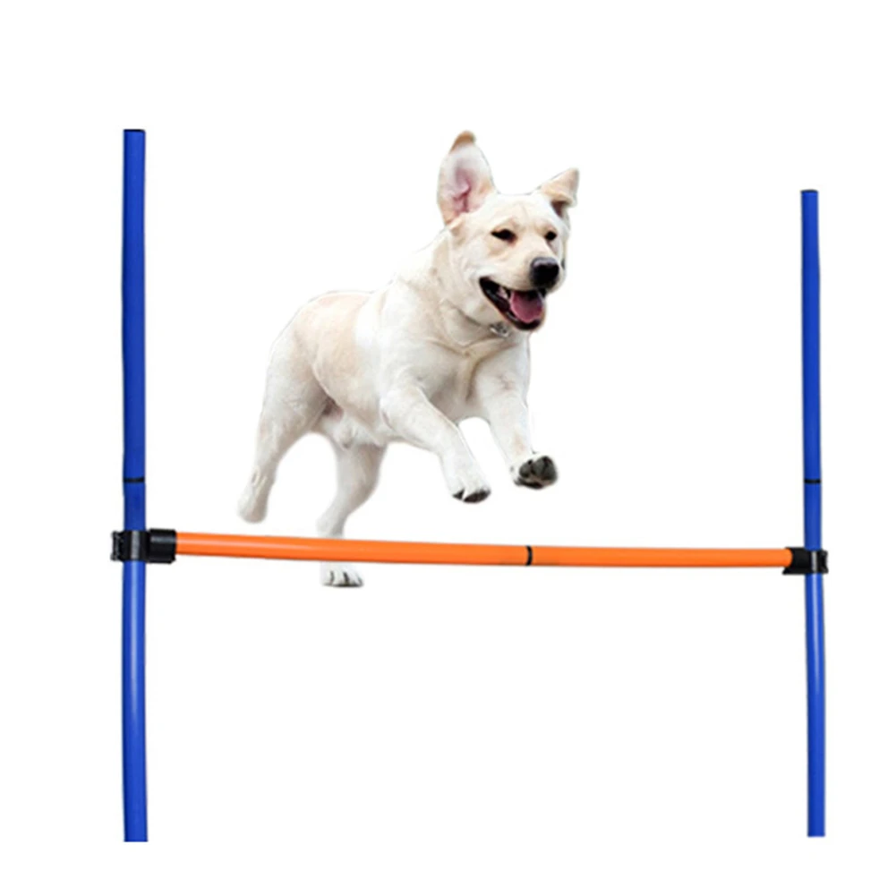 How High Are The Jumps In Dog Agility