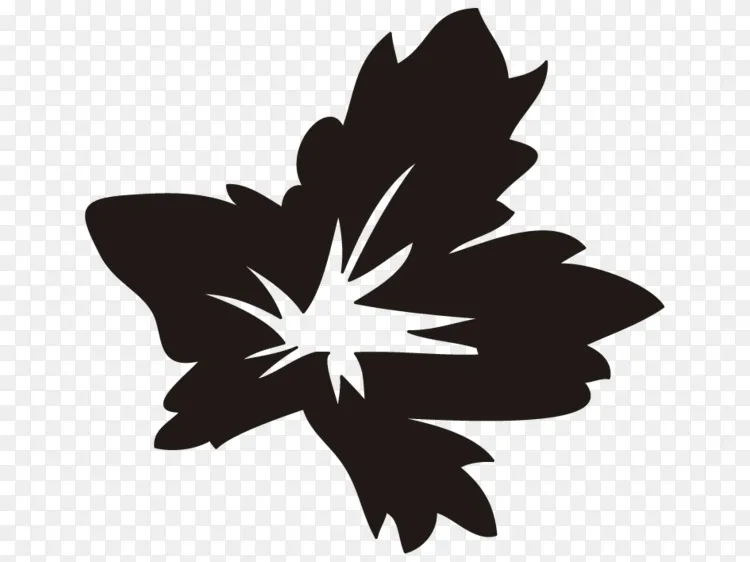 1月31日博客png图片素材免费下载 图片编号4453089 Png素材网