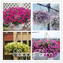 Лимонный ломтик Superbells calibachoa Petunia годовой цветок бонсай, 100 шт в упаковке, 24 цвета на выбор,# ZZSOIT