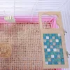 Pet Products