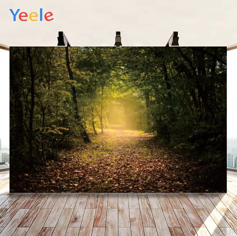 Yeele-     ̺   ,  Ʃ ǰ    