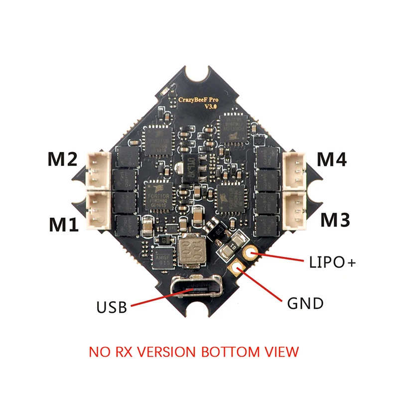 F31054 NO RX VERSION BOTTOM VIEW (1)