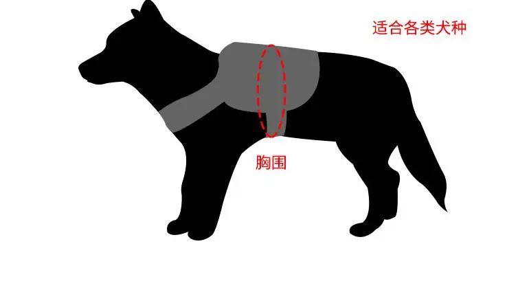 Военный Тактический жгут для собак K9, жилет для собак, нейлоновый банджи-поводок, поводок для тренировок, бега для средних и больших собак, немецкая овчарка