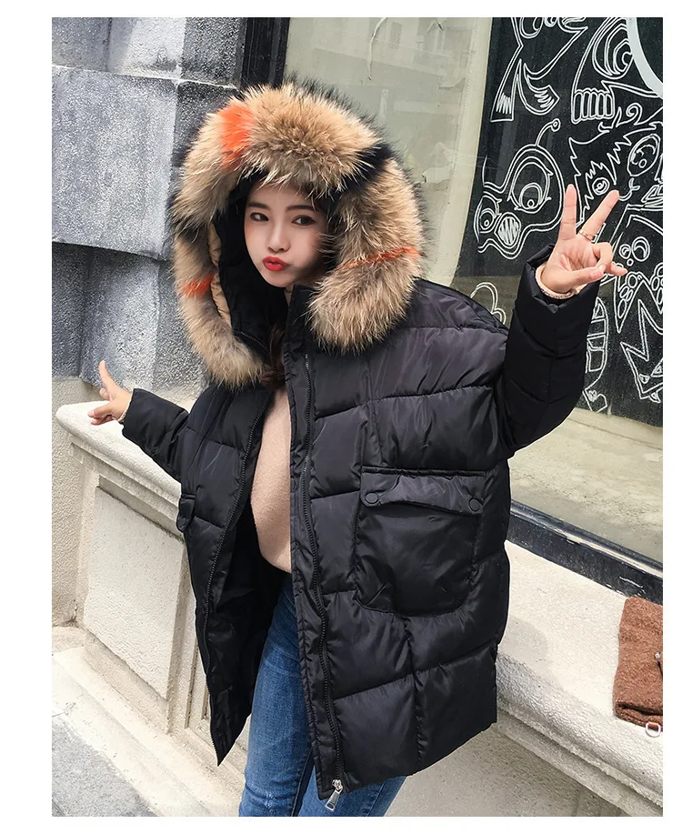 8998692272_1006637240