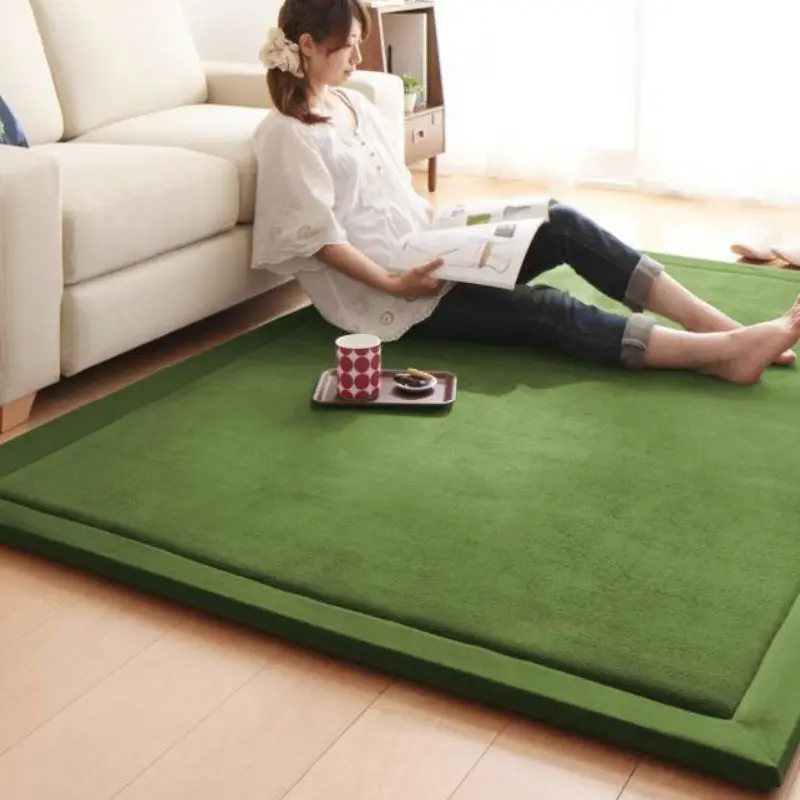 

2CM Thick Plush Velvet Soft Carpet Area Rug Non-slip Floor Mats For Living Room Bedroom Home Decoration Supplies