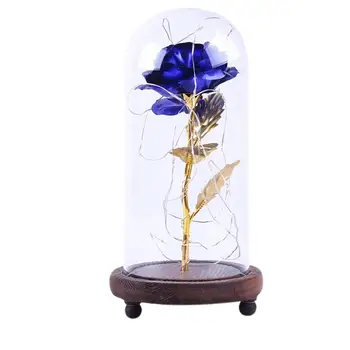 

LED Eternal Rose in Glass Dome Beauty and beast Rose Decorative Flowers led Night lights Valentine Gift for Women&Mother's Day