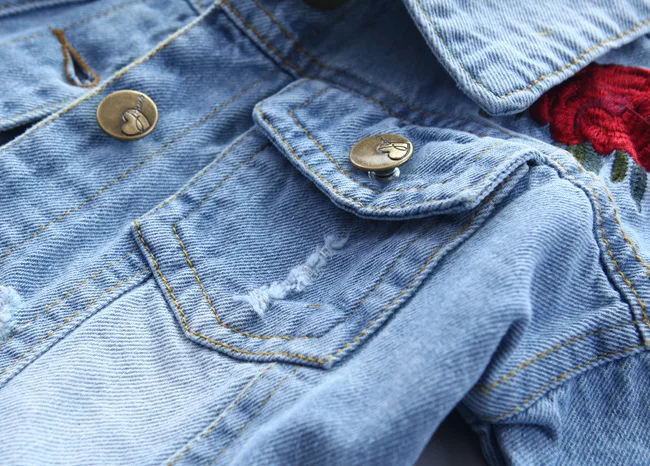 4426927764_2120408601