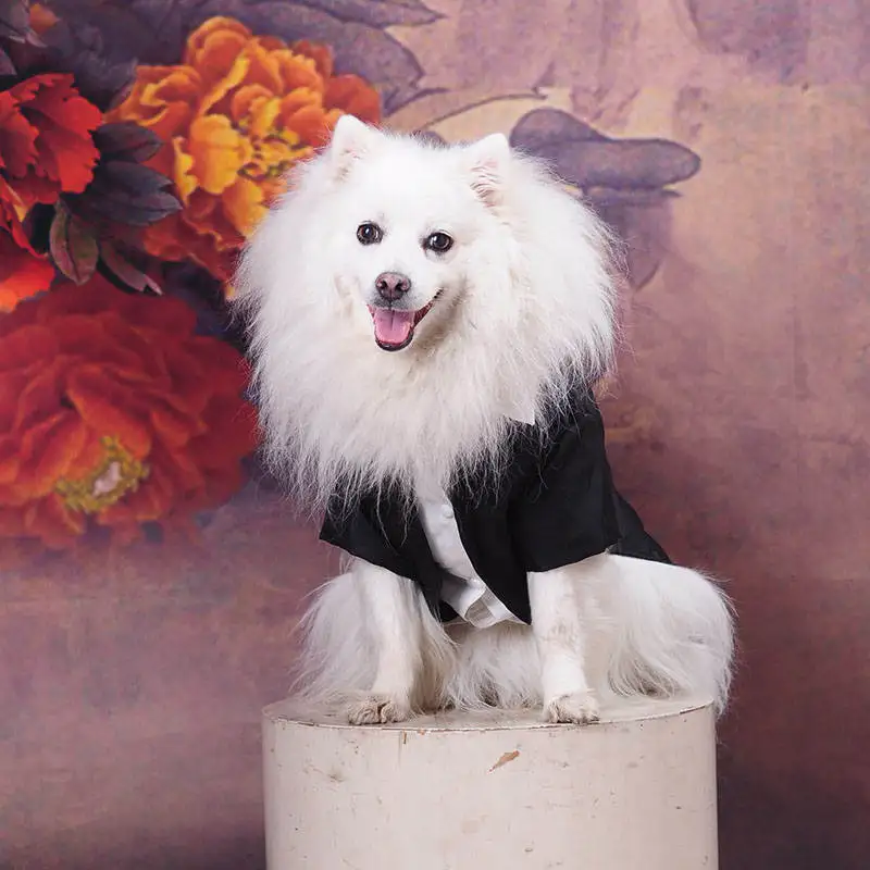 Костюм-смокинг для мальчика кошка собака одежда, куртка с галстуком-бабочкой одежда для маленькой собаки котенок свадебное платье для чихуахуа черный ПЭТ одежда для вечеринки
