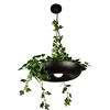 Modern Plant Pendant Lights DIY Sky garden Flower Pot Hanging Lamp Nordic Dining Room Office Art Home Decor Lighting Fixtures ► Photo 2/6