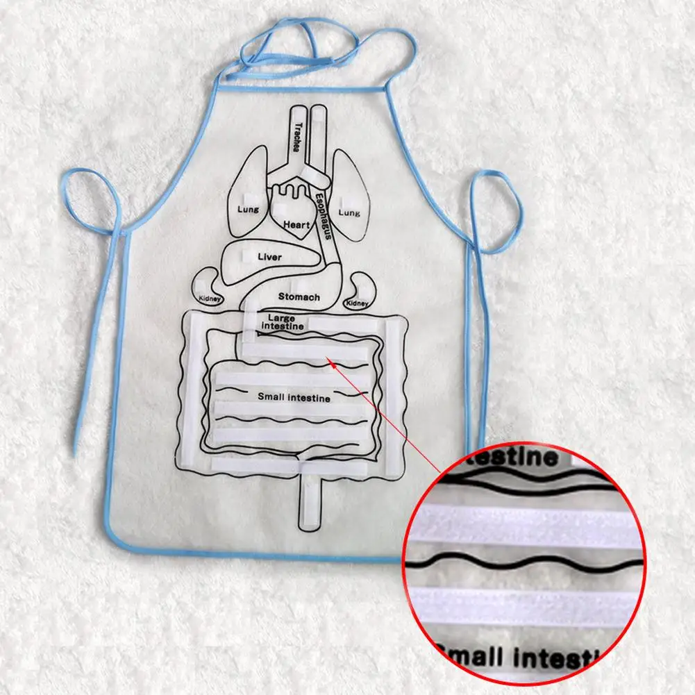  Simulation Human Body Apron Teaching Utensils Children Puzzle Enlightenment Apron Early Education T - 4000051815991