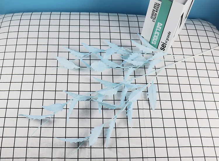 14177572204_1773055378