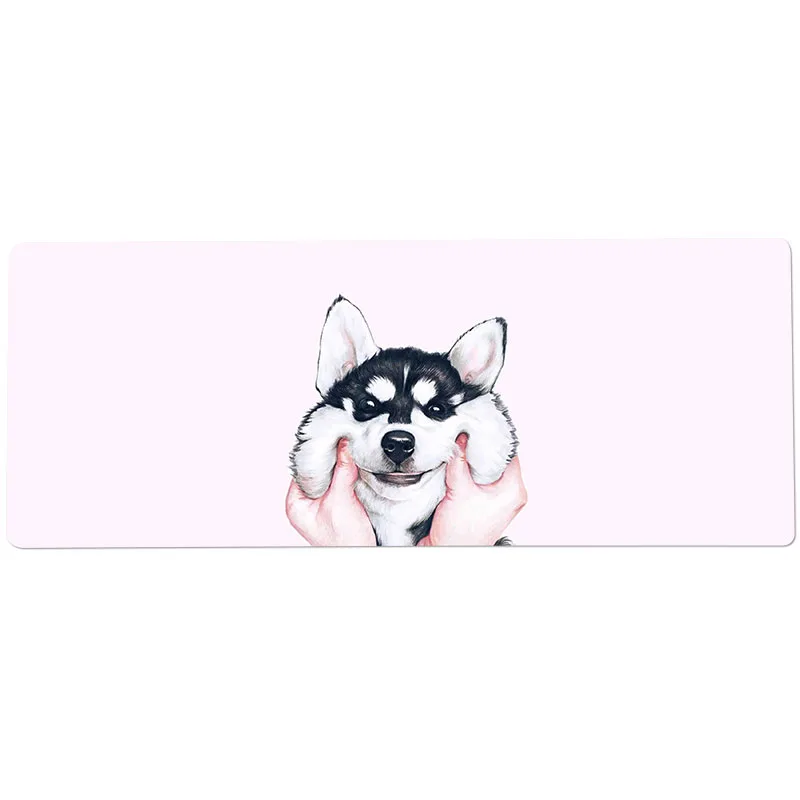 哈士奇