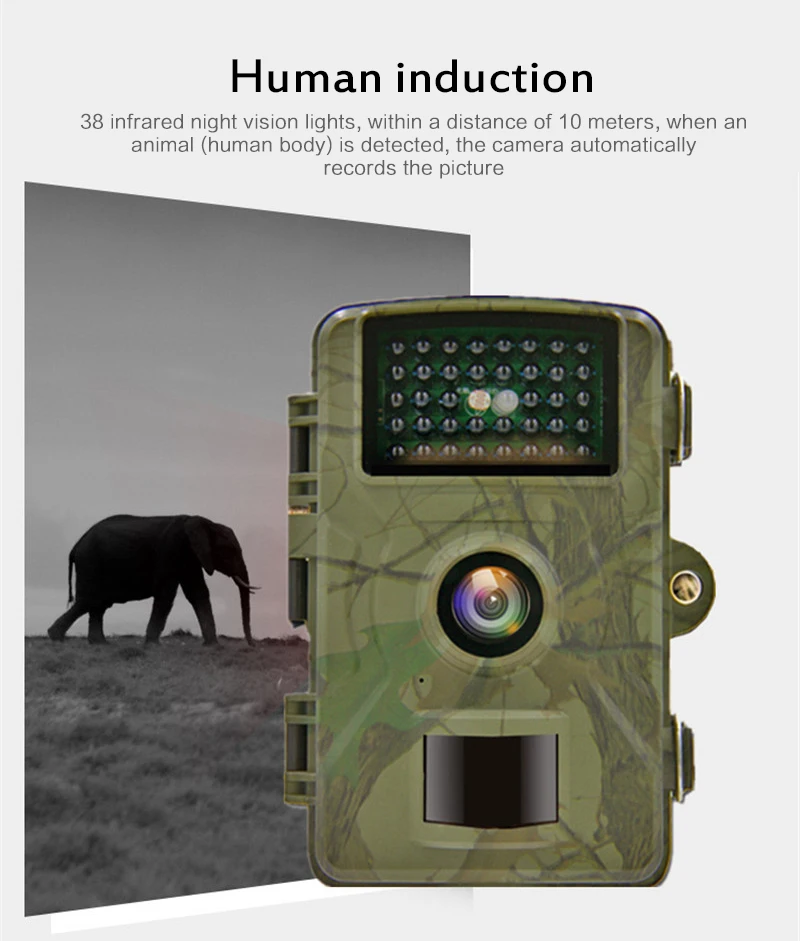 wildlife cctv camera