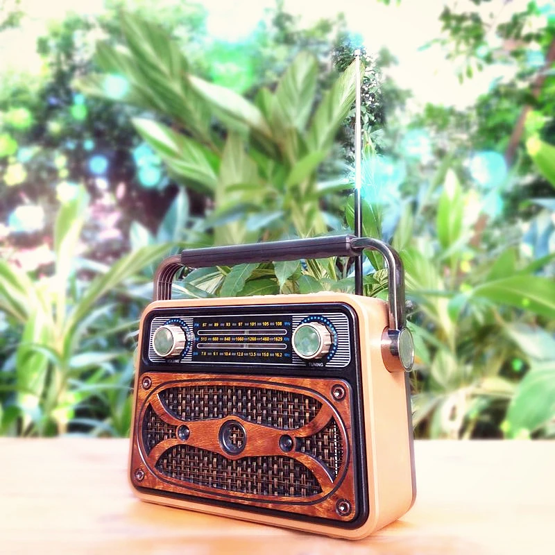Цифровой fm-радио, многофункциональный MP3-плеер, деревянный радиоприемник с ручкой, Портативный ретро bluetooth-динамик с поддержкой TF карты/USB входа
