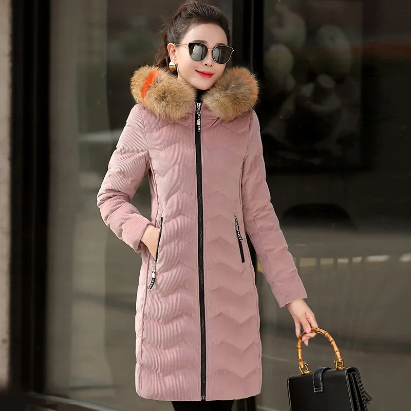 

2019 New Style Elegant Cotton Coat Women's Thick Warm Elegant Raccoon Fur Collar Mid-length Gold Velvet Hooded Cotton-padded Clo