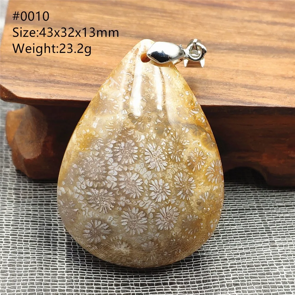 SHP0010 (4)