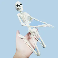 5 шт человеческий анатомический Скелет медицинская модель скелета медицина обучающая помощь Анатомия 1 пара Череп Кость руки скелета