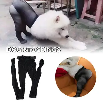 

Pet Dogs Funny Silk Black Stockings Photo Taking Props Dog Imitating Costume Supplies For Large And Medium Dogs