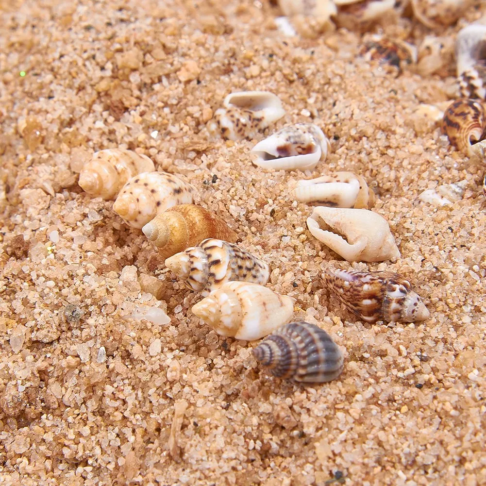 H6865326d14d14f84a28b1cecaee11c6a6.jpg?width=1001&height=1001&hash=2002