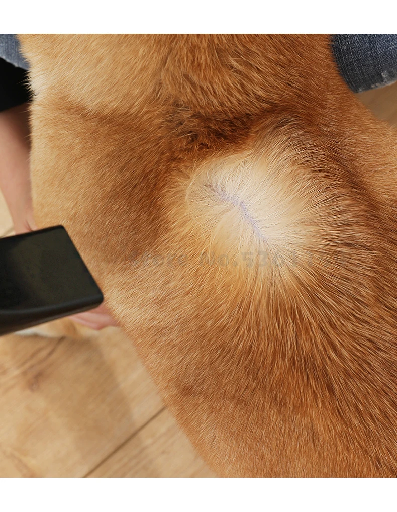 Собака Купание сухой артефакт Pet фен для кошек фен для волос большая собака Бесшумная машина для выдувания воды дома