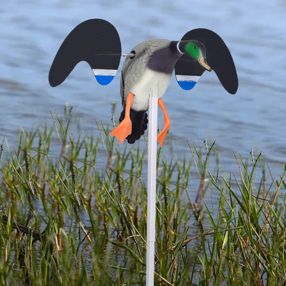 ߿  ̳      ùķ̼, ٶ ȸ   