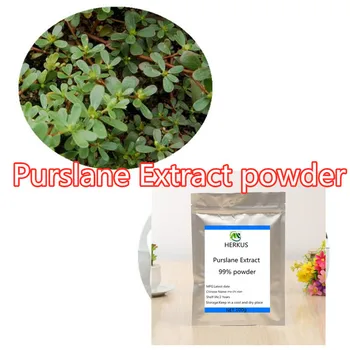 

High-quality purslane extract powder, supports the immune system, lowers cholesterol, sterilizes and reduces inflammation