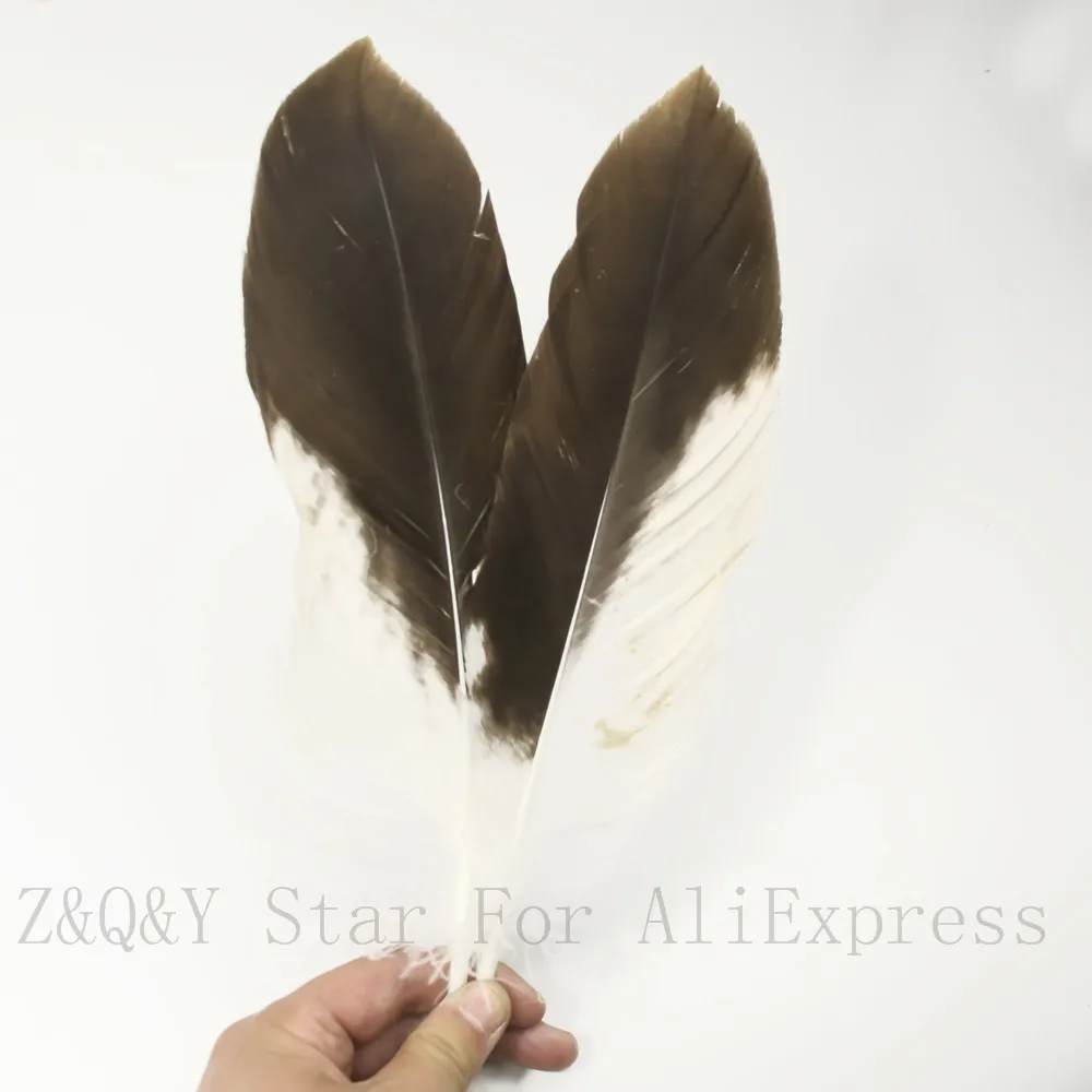 

Natural20-25CM and 25-30CM rare starling feathers 5-20 PCS DIY collection crafts headdress earrings accessories feathers