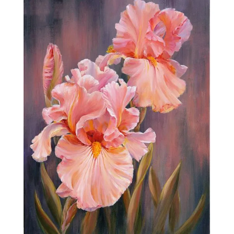 c7247a22cfc502e08bcd4681efc18d46_HTB1k0BeXtfvK1RjSszhq6AcGFXaK