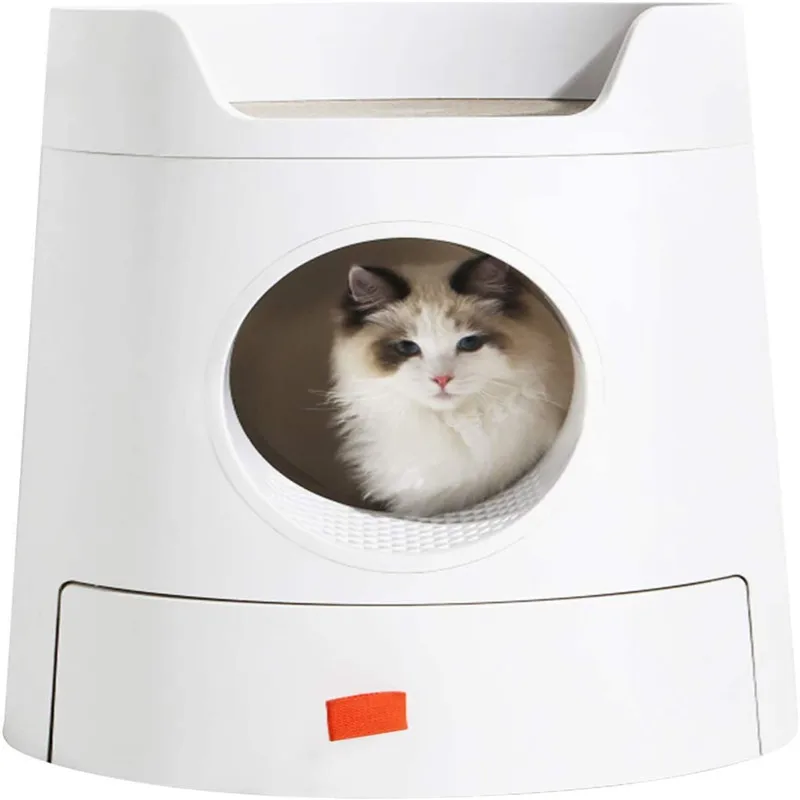 Litter box dimensions
