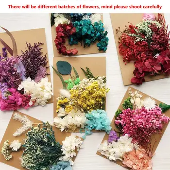 

1 Pack Crystal Epoxy Filler Dry Flower Mixed Nail Stickers Decor Resin Filler