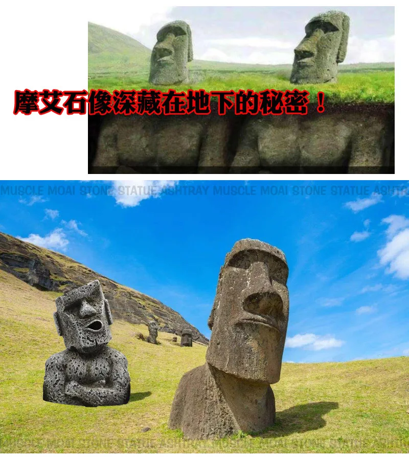 11790830006_1387131966.jpg