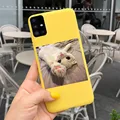 Case-c37