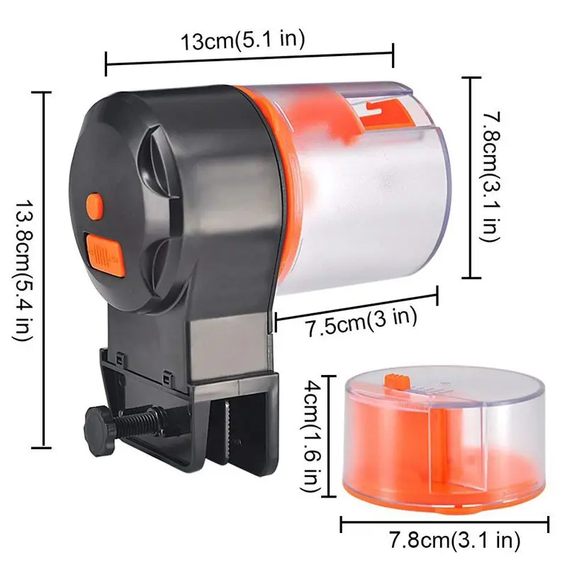 turtle feeder vacation