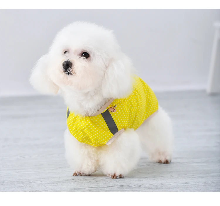 O1CN01mlUsMT1V25wPq503v_!!2774412594