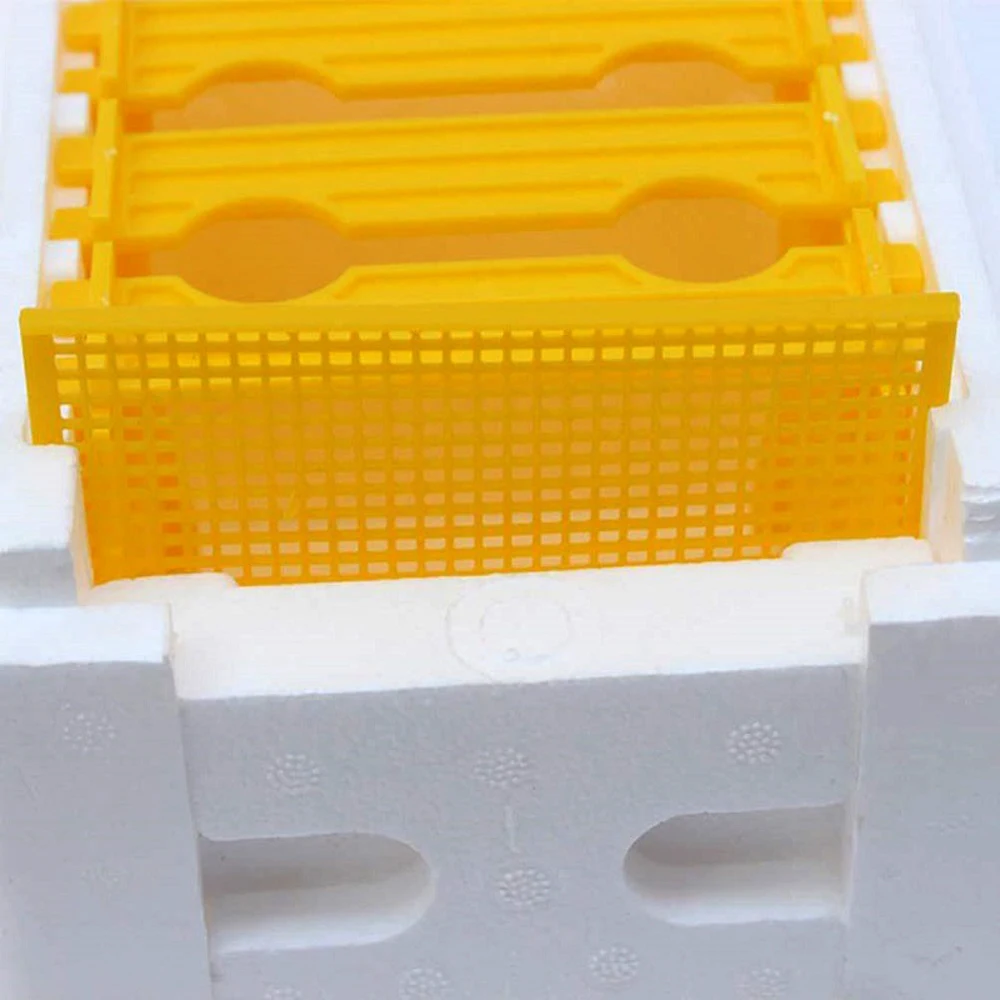 Arnia Per Fecondazione Api Regine - Mini Nucleo In Polistirolo 24x16.5x15 Cm