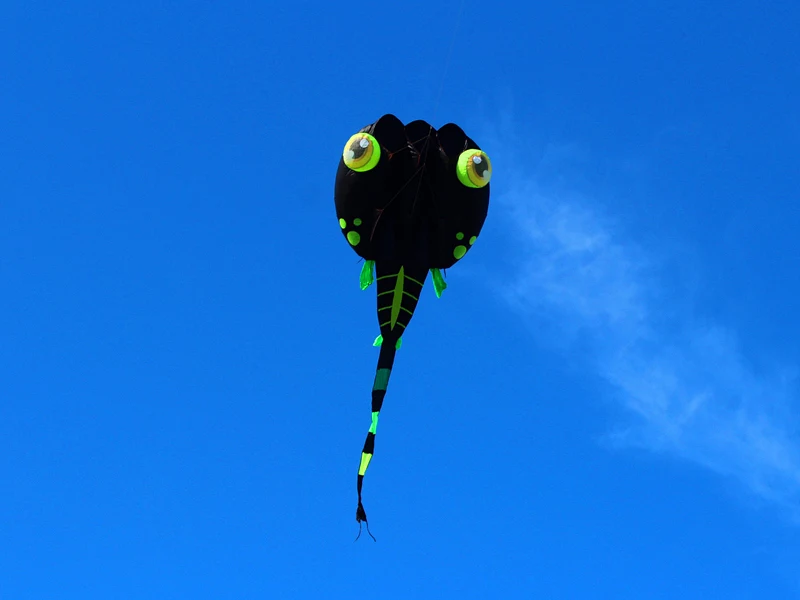 Высокое качество 8 13 квадратных метров черный tadpole змеи мягкий воздушный змей ripstop нейлон летающий змей из ткани Осьминог воздушный змей завод